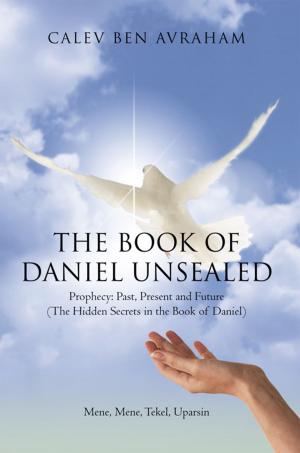 Book cover of The Book of Daniel Unsealed