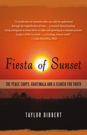 Cover of the book Fiesta of Sunset by Paul Rallion