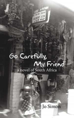Cover of the book Go Carefully, My Friend by David Turnoy