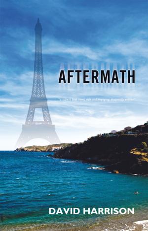 Cover of the book Aftermath by Jerry Bader