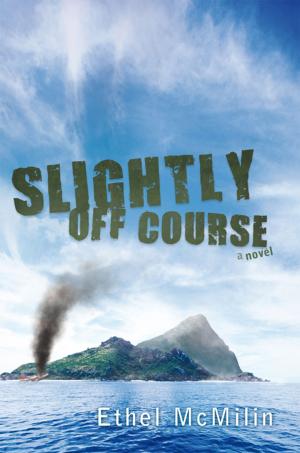 Cover of the book Slightly off Course by Julie K. Halapchuk