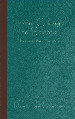 Cover of the book From Chicago to Spinoza by Catherine Saugerties