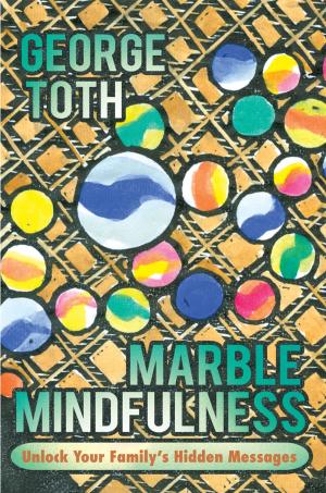 Cover of the book Marble Mindfulness by Carole Bogue PhD
