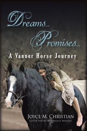Book cover of Dreams...Promises...A Vanner Horse Journey