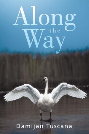 Cover of the book Along the Way by Matthew Theisen