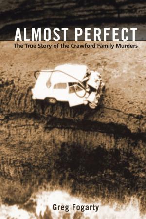 Cover of the book Almost Perfect by Nils K. Oeijord