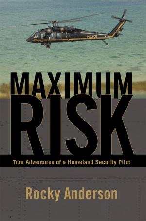 Cover of the book Maximum Risk by Richard D. Luke