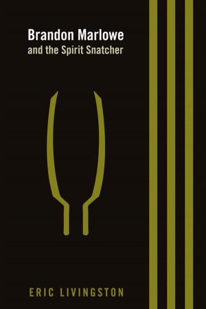 Cover of the book Brandon Marlowe and the Spirit Snatcher by Ashley Hengy