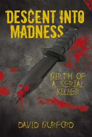 Cover of the book Descent into Madness by Fidelia Iwegbu