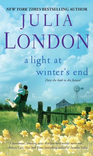 Cover of the book A Light at Winter's End by Donna Anders