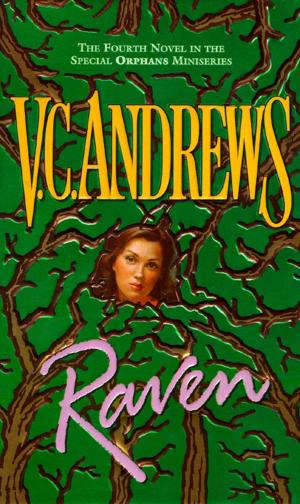 Book cover of Raven