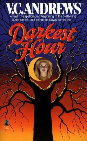 Cover of the book Darkest Hour by Alexa Egan