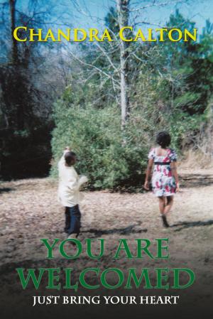 Cover of the book You Are Welcomed by Meagan Wigley