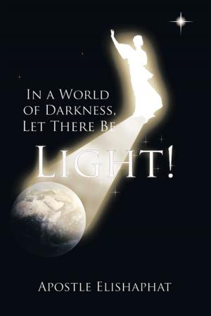 Cover of the book In a World of Darkness, Let There Be Light! by William Flewelling