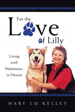 Cover of the book For the Love of Lilly by Rheo Palaeo