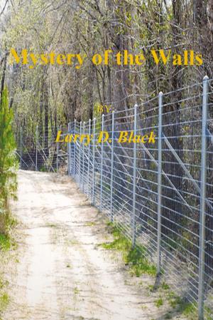 Cover of the book Mystery of the Walls by David Macfie