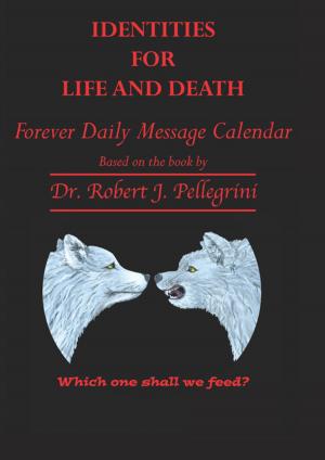 Cover of the book Identities for Life and Death by D. J. Bahr