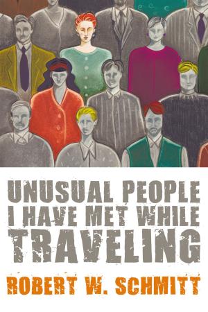 Cover of the book Unusual People I Have Met While Traveling by David M. Quinn
