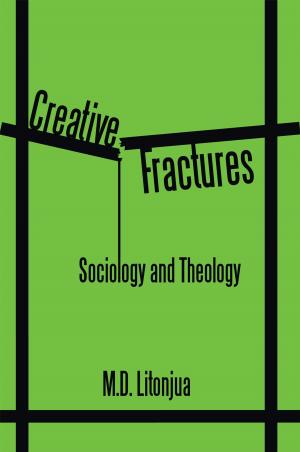 Cover of the book Creative Fractures by John B. Albion