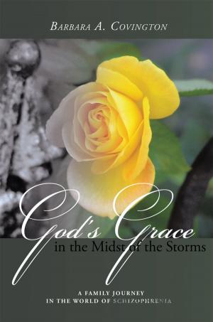 Cover of the book God's Grace in the Midst of the Storms by Patrick J. Roelle Sr.