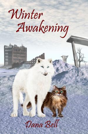 Book cover of Winter Awakening