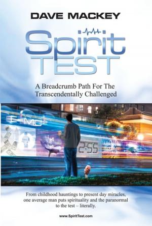 Cover of the book Spirit Test, A Breadcrumb Path for the Transcendentally Challenged by David Riberio