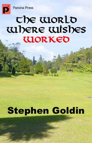 Book cover of The World Where Wishes Worked