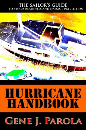 Cover of the book Hurricane Handbook by Andrew Gunson