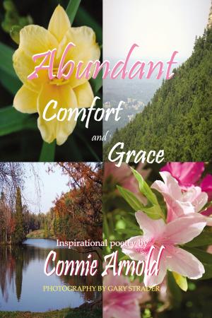 Book cover of Abundant Comfort and Grace