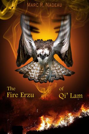 bigCover of the book The Fire Erzu of Qi' Lam by 