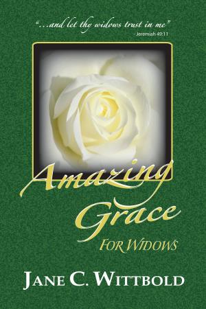 Cover of the book Amazing Grace for Widows by Britt Gillette