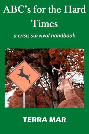 Cover of ABC's for the Hard Times: a crisis survival handbook