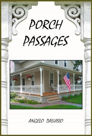 Book cover of Porch Passages