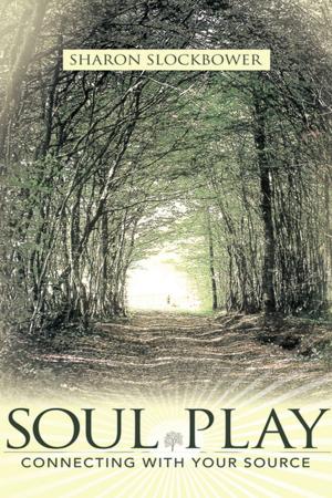 Cover of the book Soul Play by John Rowe