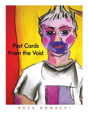 Cover of the book Post Cards from the Void by Melanie Joy King