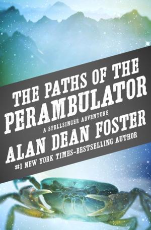 Cover of the book The Paths of the Perambulator by Chris Raschka