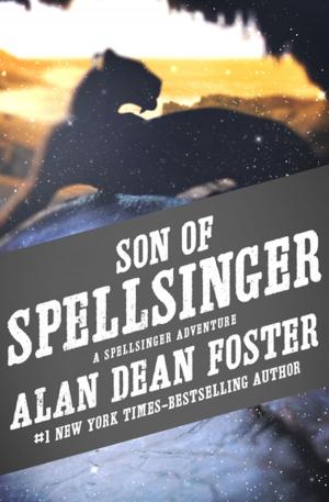 Cover of the book Son of Spellsinger by Stephen B5 Jones