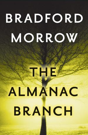 Book cover of The Almanac Branch