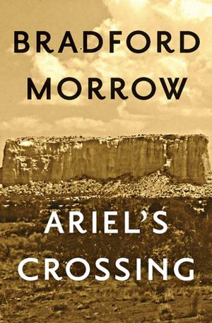 Cover of the book Ariel's Crossing by Alan Sillitoe