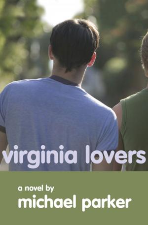 Cover of the book Virginia Lovers by Joseph Caldwell