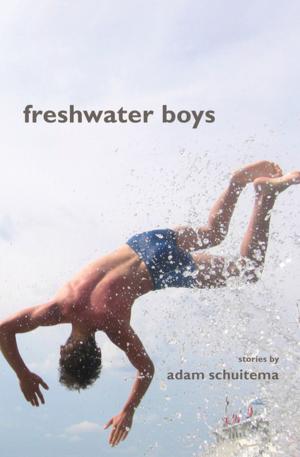 Cover of the book Freshwater Boys by Katherine Nouri Hughes