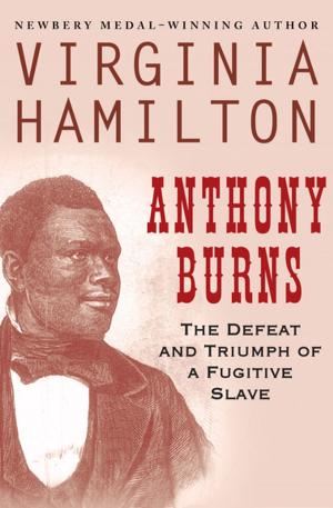 Cover of the book Anthony Burns by Patricia Potter