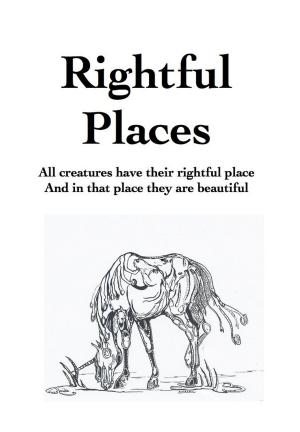 Cover of the book Rightful Places by Kehinde Anita Mokwenyei