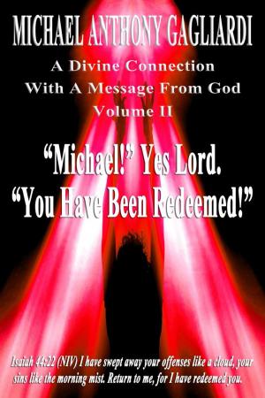 Cover of the book A Divine Connection With A Message From God Volume II by Robert W. Chambers