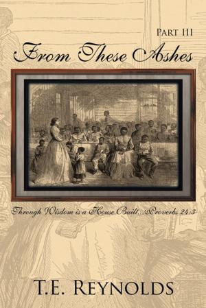 Cover of the book From These Ashes Part Iii by Madina Del Terra Solicino