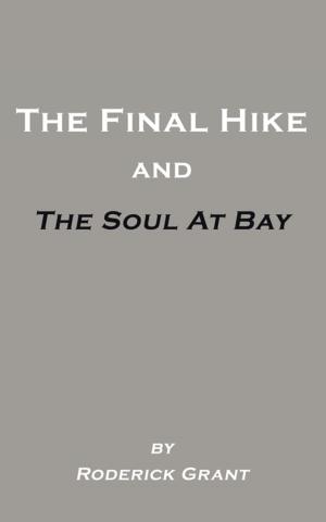 Book cover of The Final Hike and the Soul at Bay