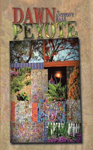 Cover of the book Dawn Peyote by Johanna Redeye