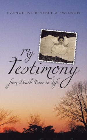 Cover of the book My Testimony by C.S. Bairagi