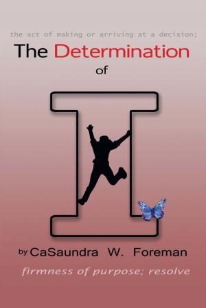 bigCover of the book The Determination of I by 