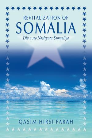 Book cover of Revitalization of Somalia